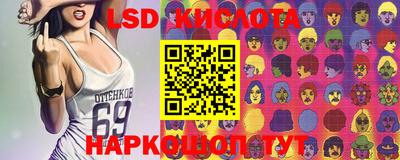прущие грибы Ирбит