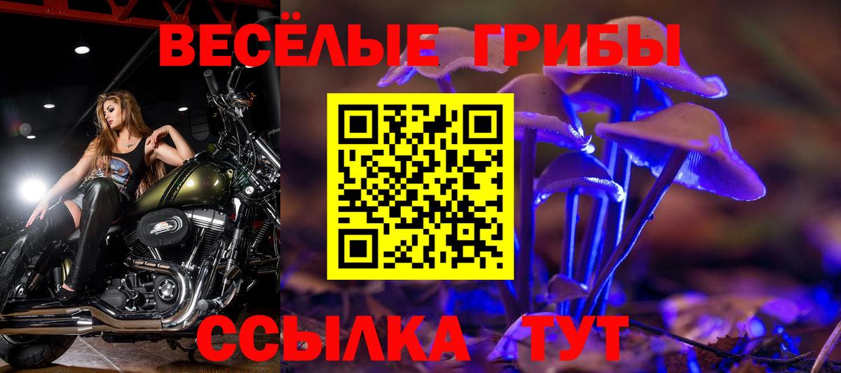 Галлюциногенные грибы Psilocybine cubensis  Галлюциногенные грибы мухоморы  Вход с VPN  Скопин 